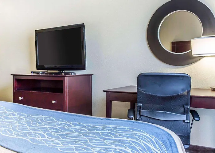 Comfort Inn & Suites Ballpark Area