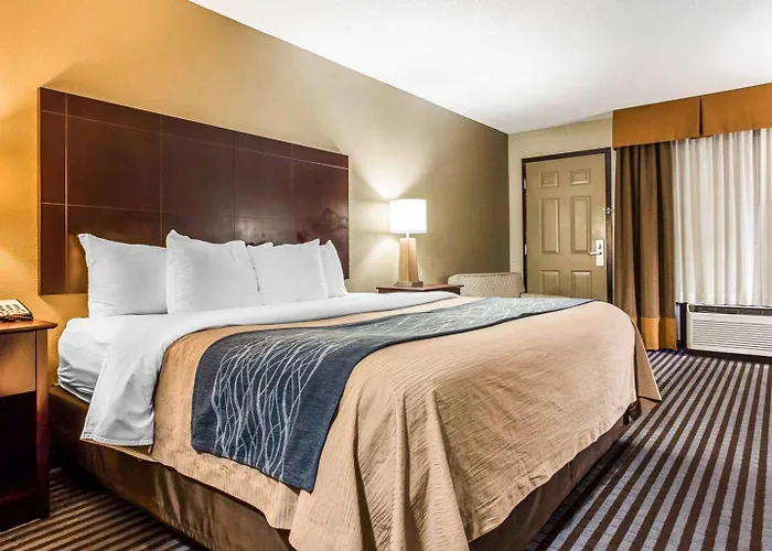 Comfort Inn & Suites Ballpark Area