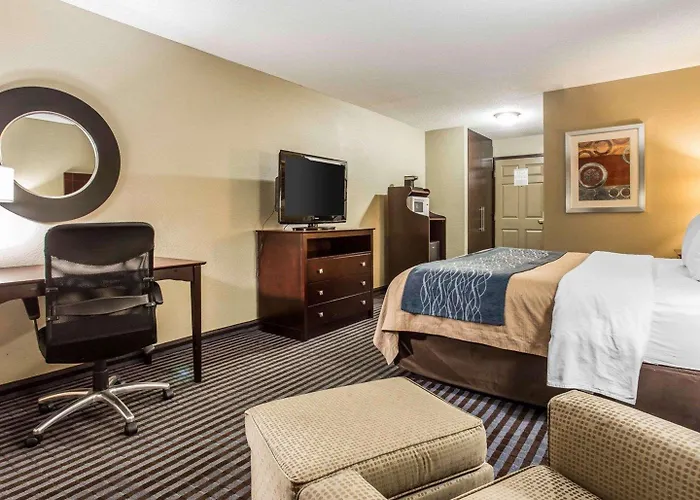 Comfort Inn & Suites Ballpark Area